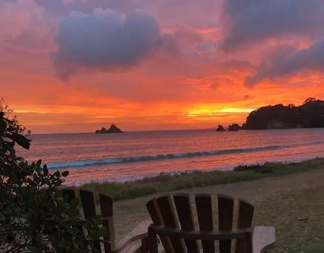 Oakura Bay Absolute Beachfront Holiday Home
