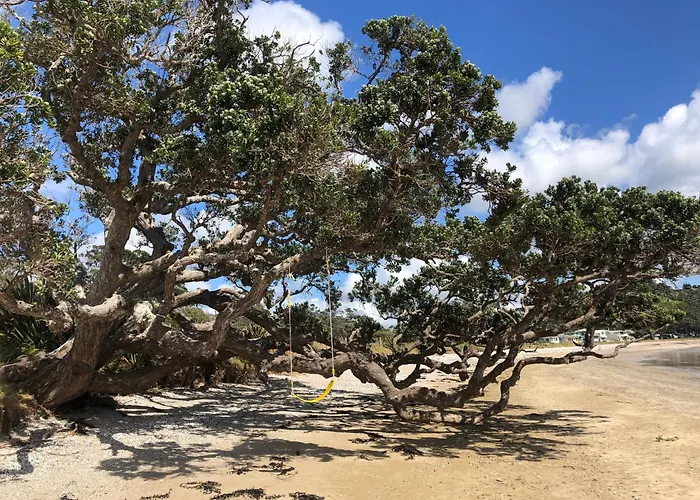 Oakura Bay Absolute Beachfront Holiday Home