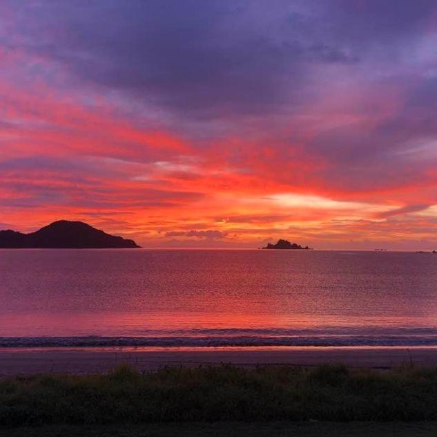 Oakura Bay Absolute Beachfront Holiday home Hikurangi