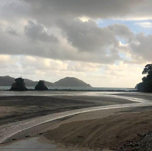 Holiday home Oakura Bay Absolute Beachfront *