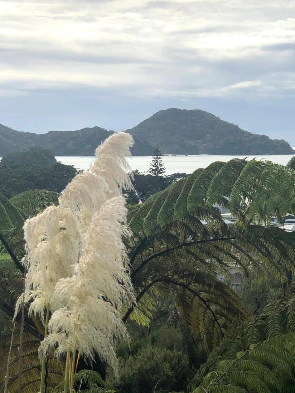 Oakura Bay Absolute Beachfront *