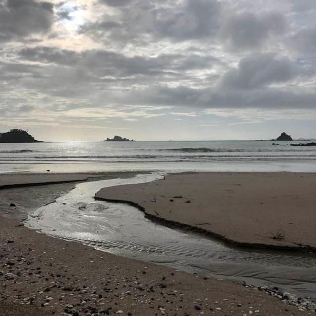 Oakura Bay Absolute Beachfront