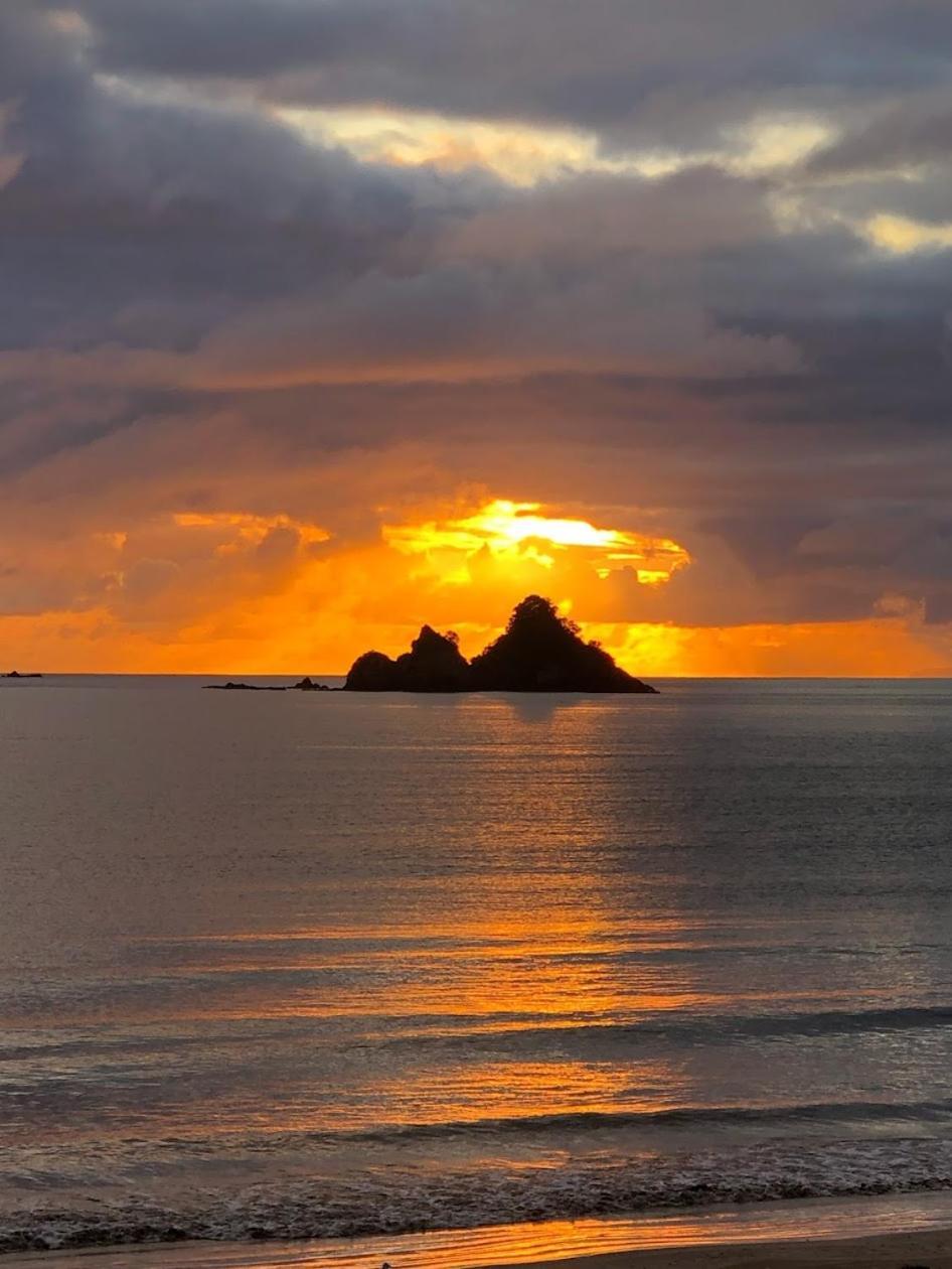 Holiday home Oakura Bay Absolute Beachfront *