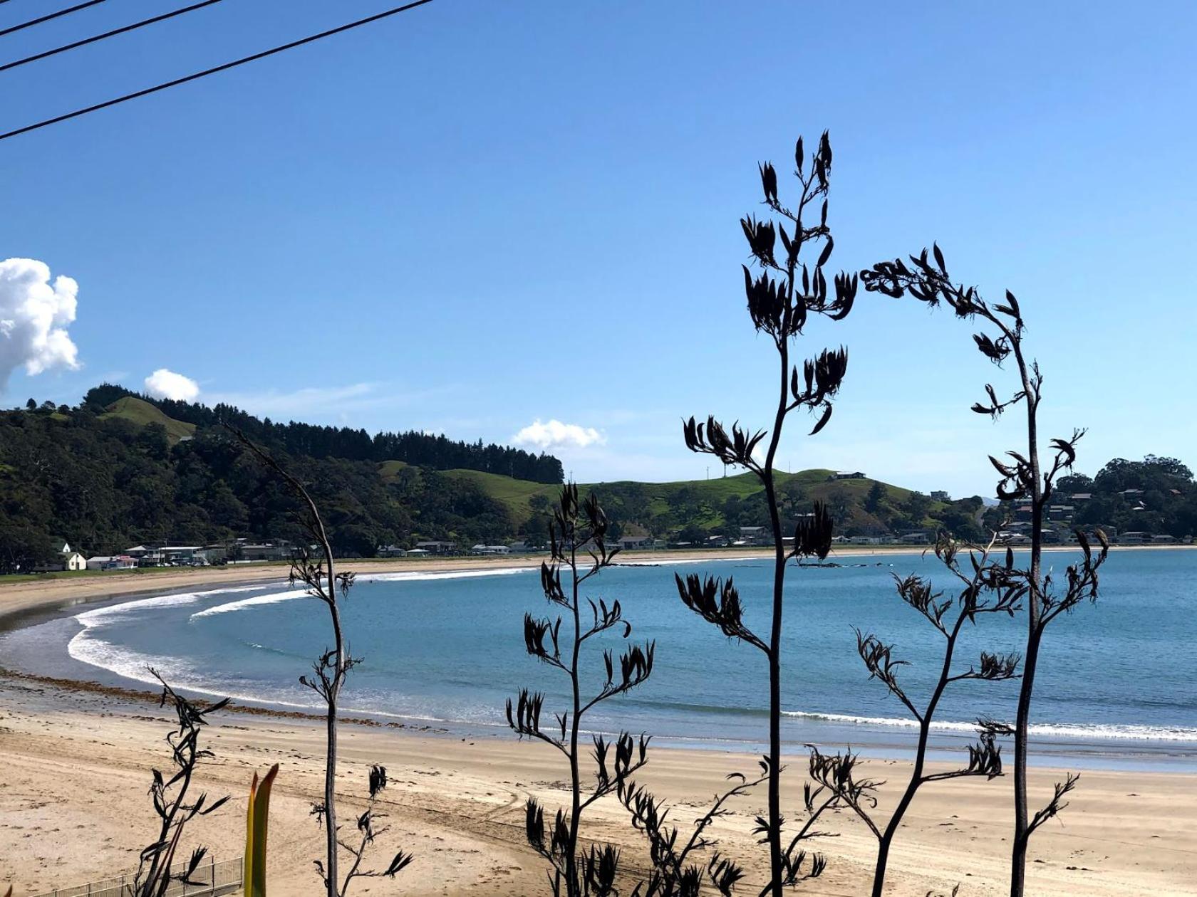Oakura Bay Absolute Beachfront Holiday home Hikurangi
