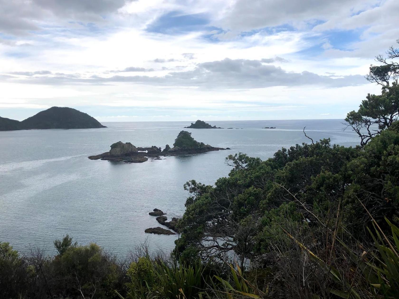 Holiday home Oakura Bay Absolute Beachfront Hikurangi