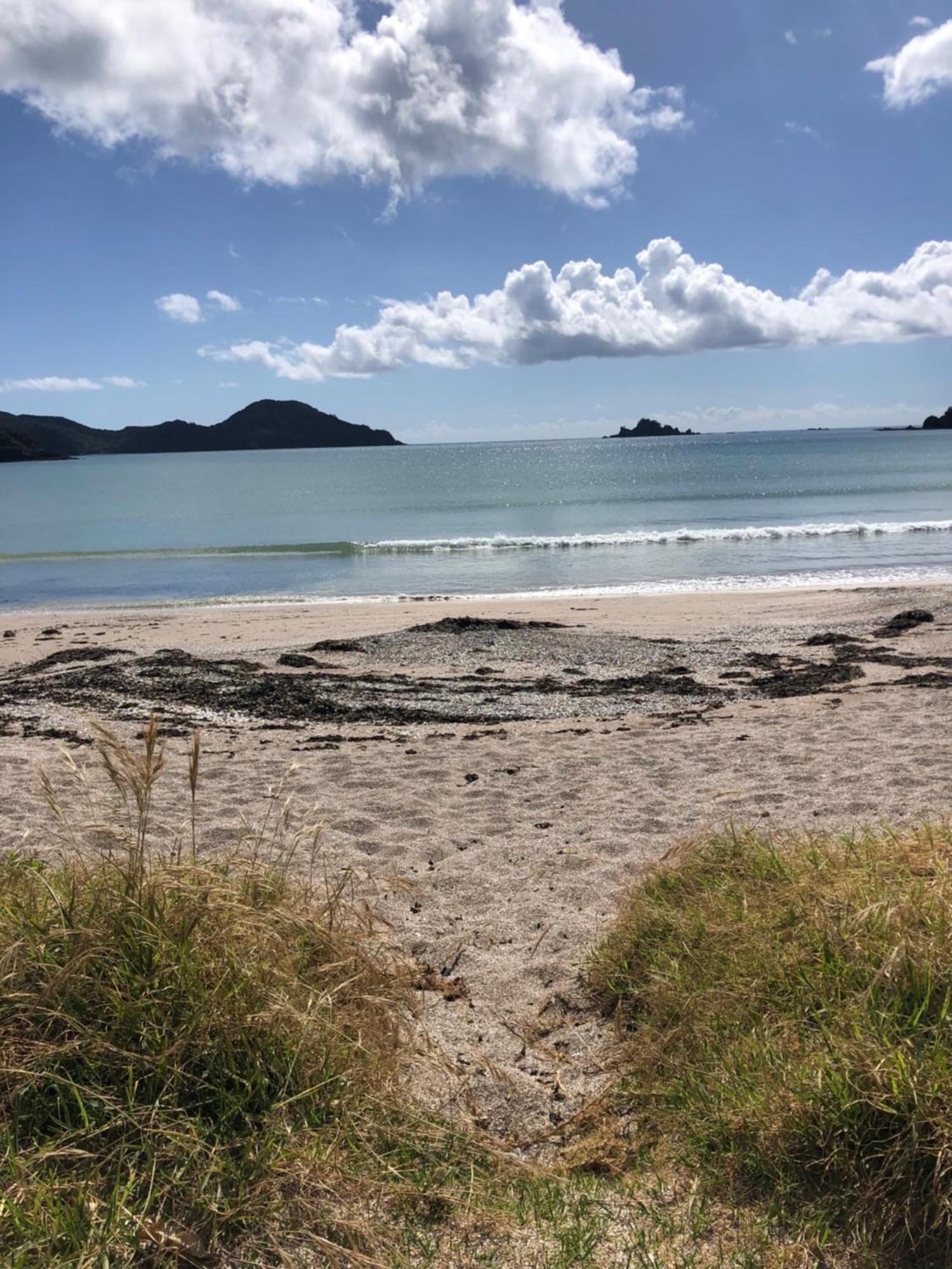 Oakura Bay Absolute Beachfront Holiday home